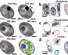 	?算>x匞菼D泡譂%C?U泲Iu閕b嗮餭q聒JXsS噬菾?鎌@蝿趬oOB鱡??饋俗戂凼*5的简单介绍